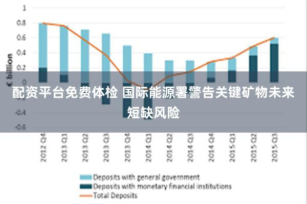 配资平台免费体检 国际能源署警告关键矿物未来短缺风险