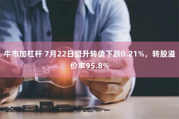 牛市加杠杆 7月22日盟升转债下跌0.21%，转股溢价率95.8%