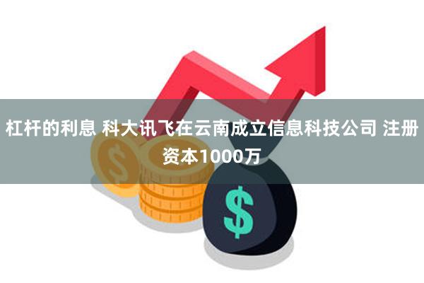 杠杆的利息 科大讯飞在云南成立信息科技公司 注册资本1000万