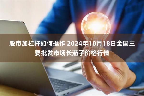 股市加杠杆如何操作 2024年10月18日全国主要批发市场长茄子价格行情