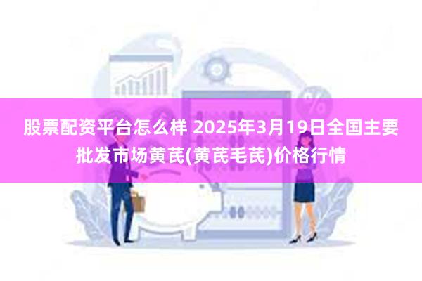 股票配资平台怎么样 2025年3月19日全国主要批发市场黄芪(黄芪毛芪)价格行情