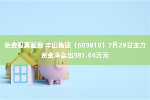 免费股票配资 丰山集团（603810）7月29日主力资金净卖出381.64万元